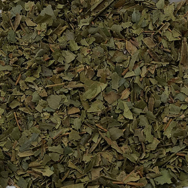 2542_レモンマートル