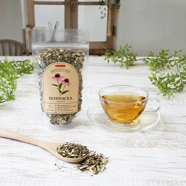 ハーブミニパック　エキナセア