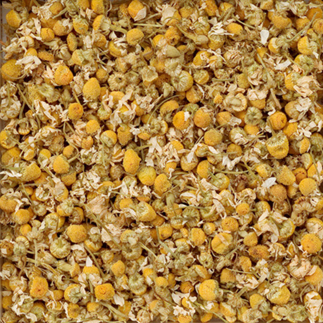 ハーブミニパック　カモミールジャーマン