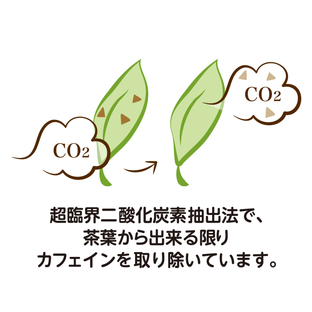 デカフェ ジャスミン茶