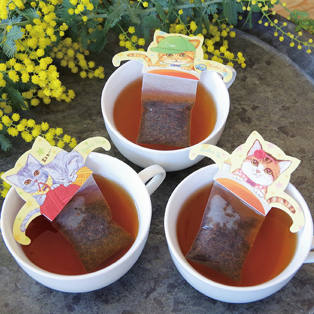 サッド・カフェ / 紙ジャケ６枚セット DU特典ボックス付き 新品 Baby Cat Cafe ベビーキャットカフェ（ルイボスティー） 品番52008
