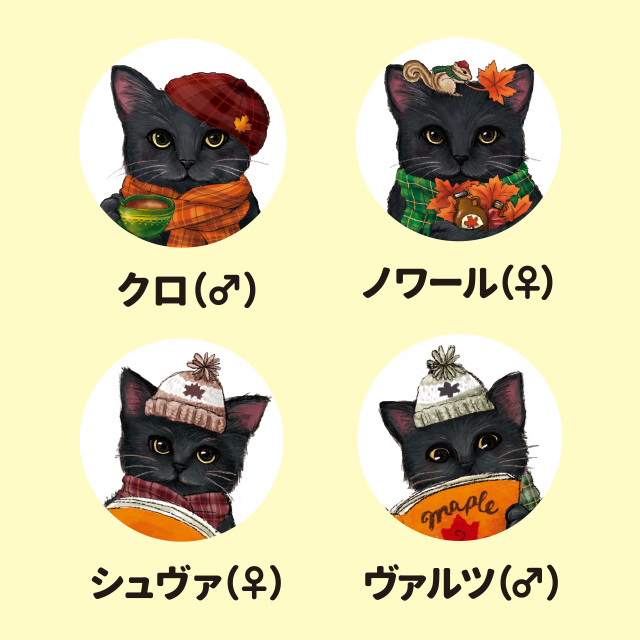 Black Cat Cafe ブラックキャットカフェ（メープルティー） 品番52016