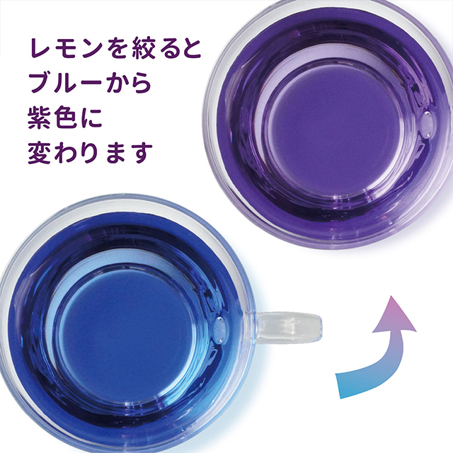 アクアテリア