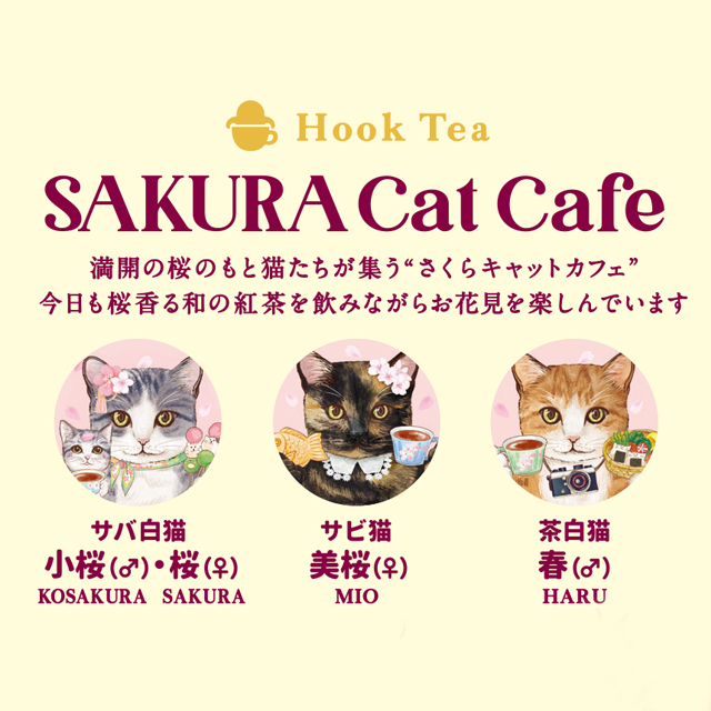 SAKURA Cat Cafe さくらキャットカフェ（桜香る和の紅茶） 品番52142