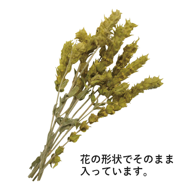 グリークマウンテンティー