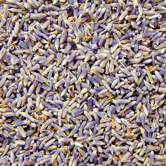 フォアバス　ラベンダー