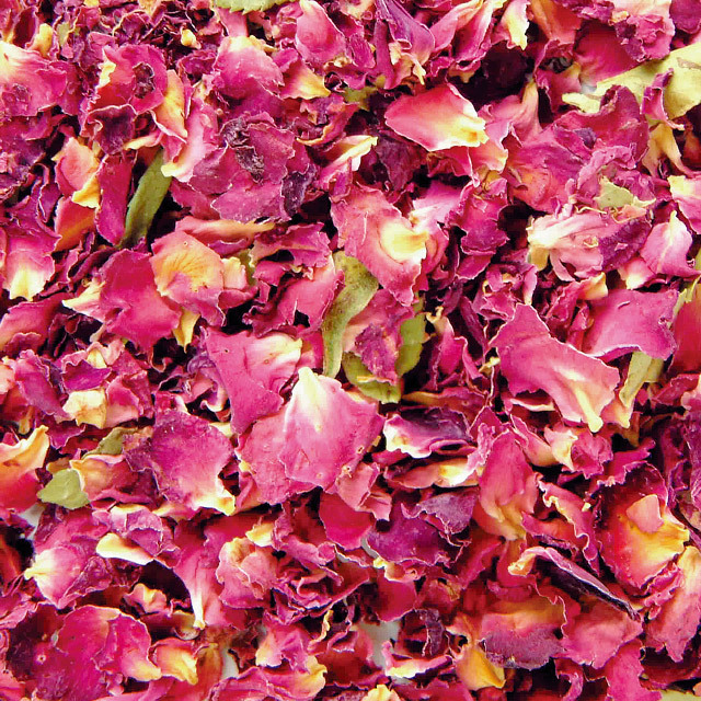 フォアバス　ローズ