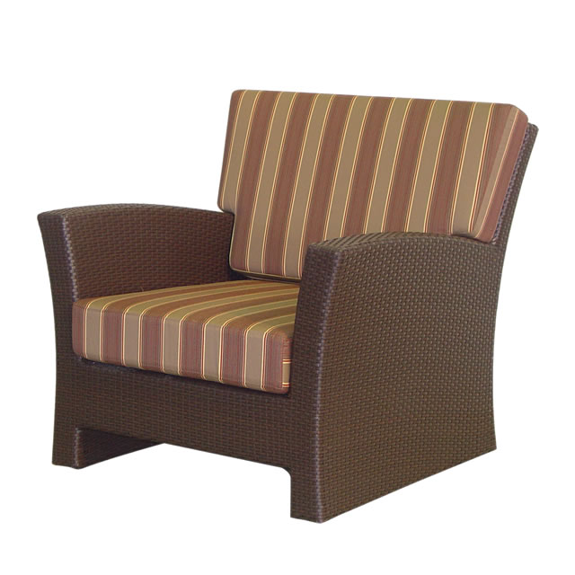 ダノーブ ラウンジチェアー + 純正クッション （DANAUBE-AL-0206-LC）