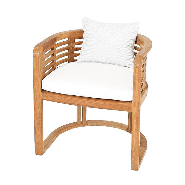 ハミルトン ダイニング アームチェアー + 純正クッション （HAMILTON-FAEIV23-2）