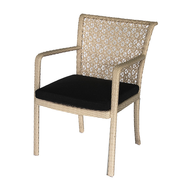 MERIDIAN（メリディアン） | GISELE(ジゼル）プレミアムチーク