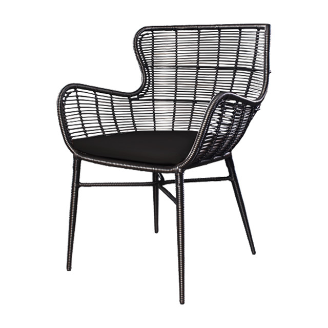 パリス オケーショナルチェアーNA（ブラック） + 純正クッション （PARIS-GAG9006BK）