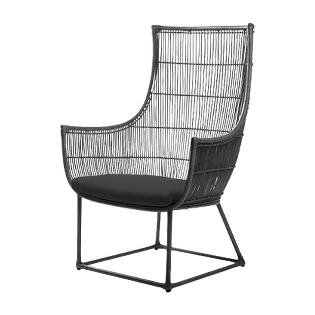 パリス オケーショナルチェアーEL（ブラック） + 純正クッション （PARIS-GAG9004BK）