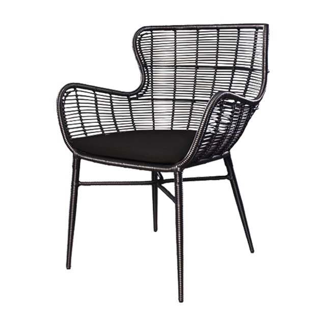 パリス オケーショナルチェアーNA（ブラック） + 純正クッション （PARIS-GAG9006BK）