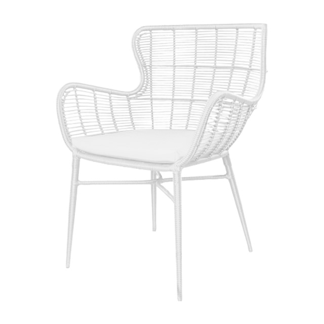 パリス オケーショナルチェアーNA（ホワイト） + 純正クッション （PARIS-GAG9006WH）