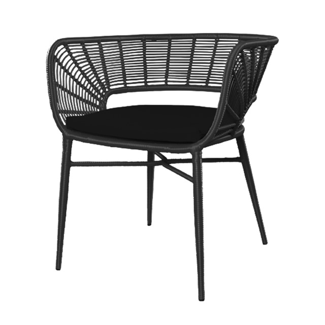 パリス オケーショナルチェアーNN（ブラック） + 純正クッション （PARIS-GAG9005BK）