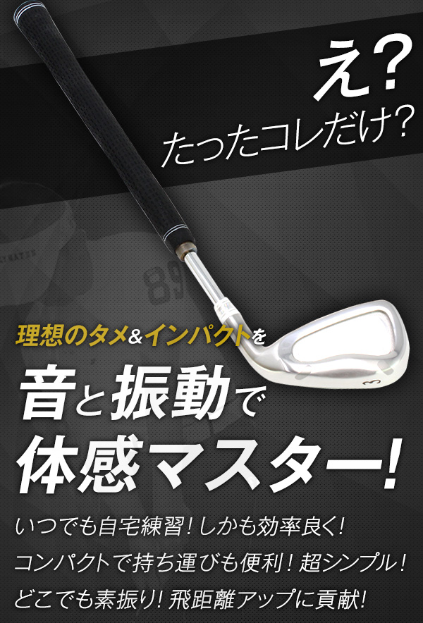 送料無料 匠 スイングマスター プロ ヘッド付 スイング練習 自宅練習