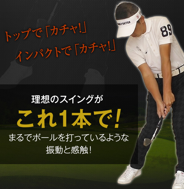 送料無料 匠 スイングマスター プロ ヘッド付 スイング練習 自宅練習