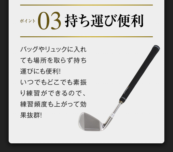 送料無料 匠 スイングマスター プロ ヘッド付 スイング練習 自宅