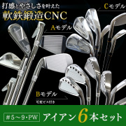 【ごるきち】アイアンセット　チームTOHO 東邦ゴルフ アイアンセット CNC 軟鉄鍛造 6本セット 3タイプ #5