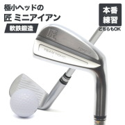匠ミニアイアン 軟鉄鍛造 極小ミニヘッド 小ぶりヘッド 小型アイアン 練習器具 トレーニング 本番でも使える 42度 35インチ スチールシャフト  NS製シャフト 高密度樹脂系グリップ