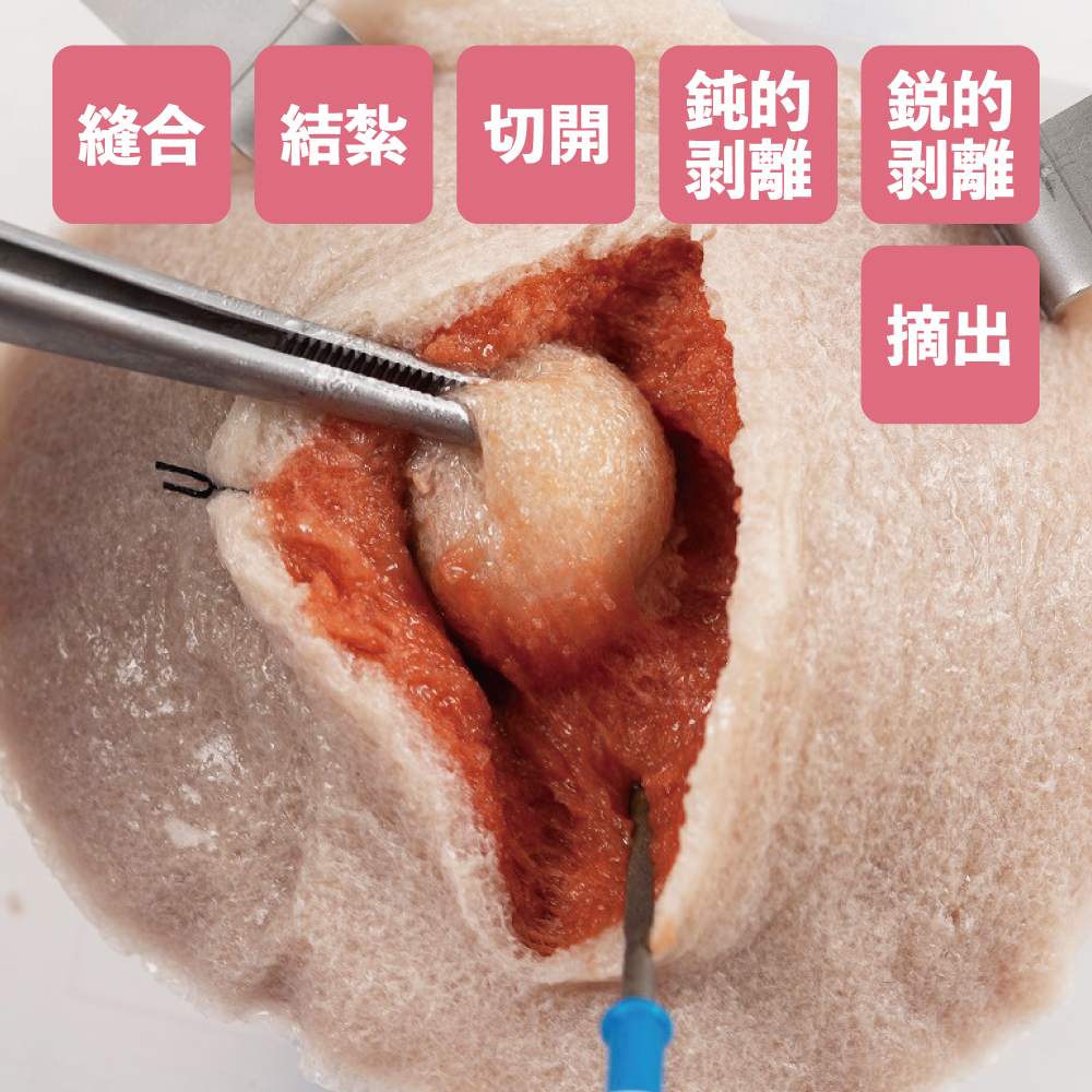 VTT COMPOSITE TYPE 複合タイプ VTT-CMP