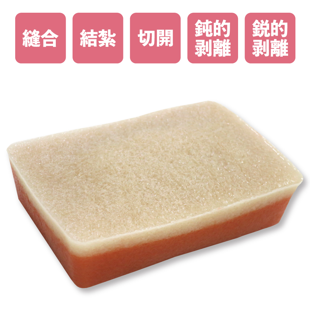 廃盤！希少！ 気内臓療法 気内臓療法 Chi Nei Tsang 【公式通販】