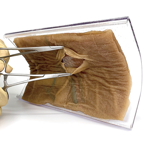 VTTヘルニアモデル【VTT-TAPP】 腹腔鏡トレーニングボックスのお店