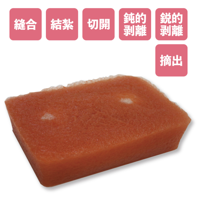 廃盤！希少！ 気内臓療法 デジタル配信版「Yuki先生の内臓美カッサ入門」 好評配信中！