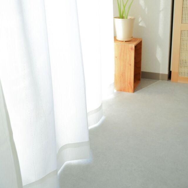 防カビ・抗菌レースカーテン 2枚組