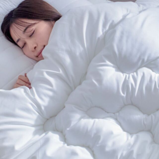 ダニスト®中わた使用　掛布団