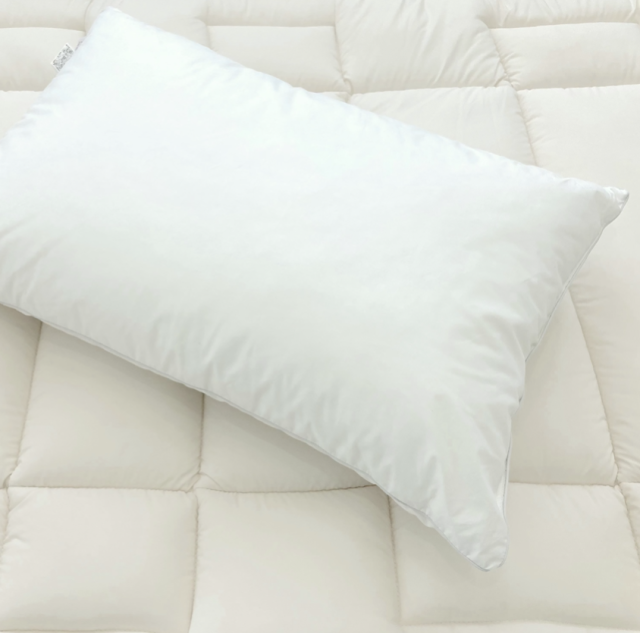 枕ピューリスト