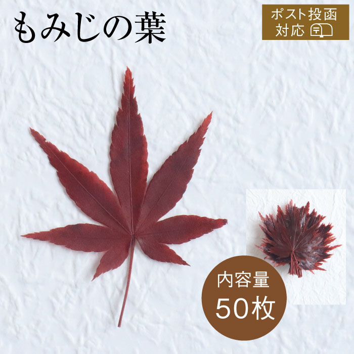 もみじ50枚アイコン