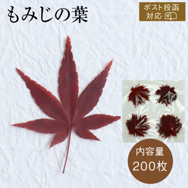 もみじの葉200枚