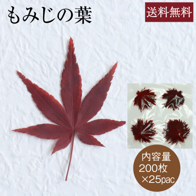 もみじの葉200×25