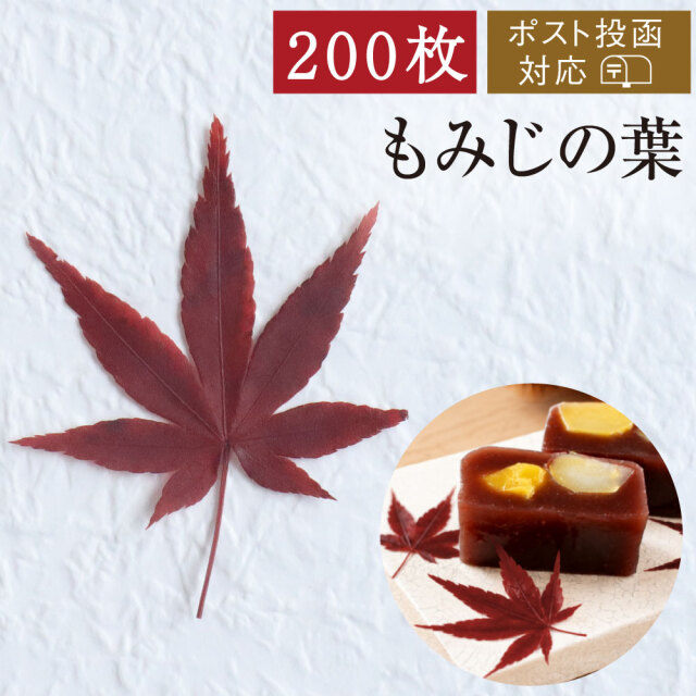 もみじ200枚アイコン