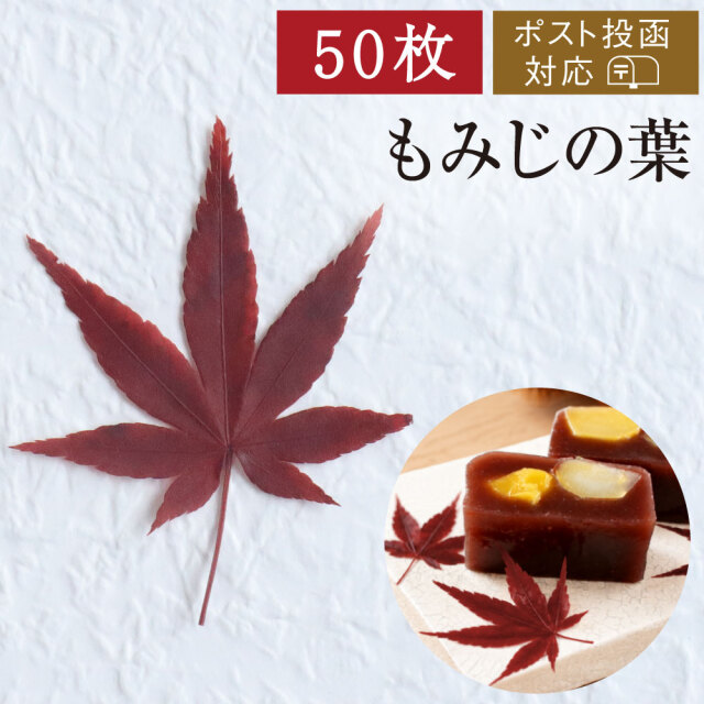 もみじ50枚アイコン