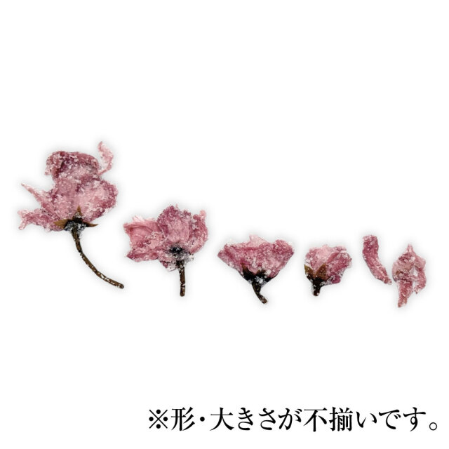 塩と梅酢で漬けこんだ八重桜の花
