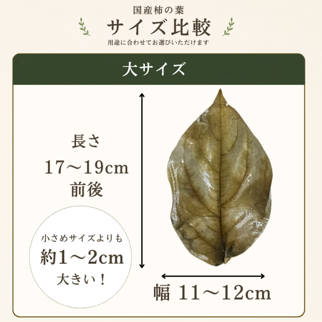 国産柿の葉大サイズ四角