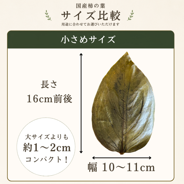 国産柿の葉小さめサイズ四角