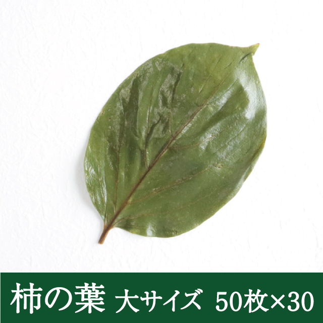 柿乃葉　kakinoha BIDDU 店 - 柿乃葉 ｜ 柿乃葉 / KAKINOHAHANARE