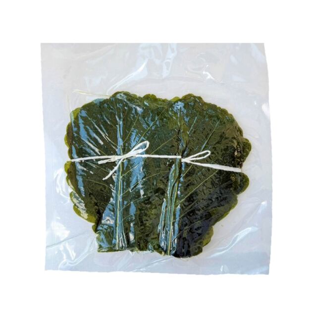 柏の葉緑パッケージ100