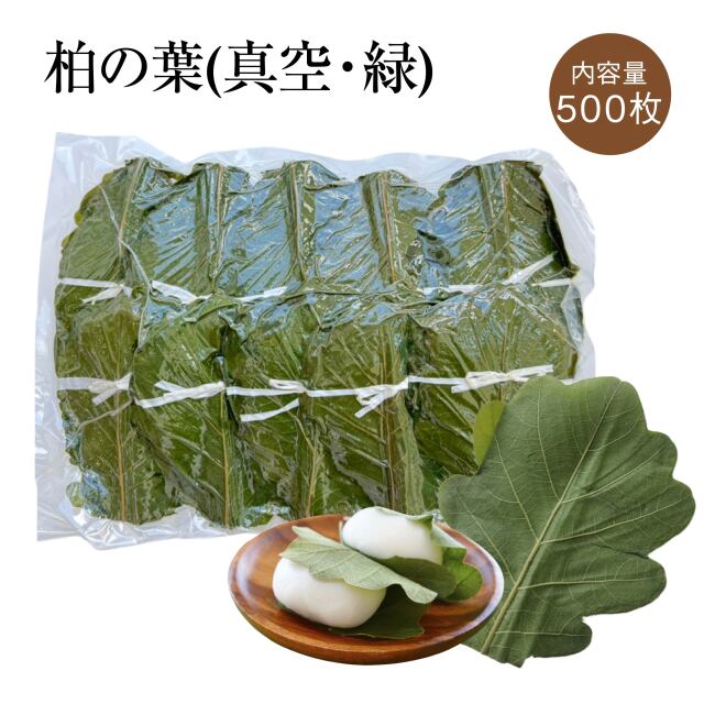 柏の葉500緑アイコン