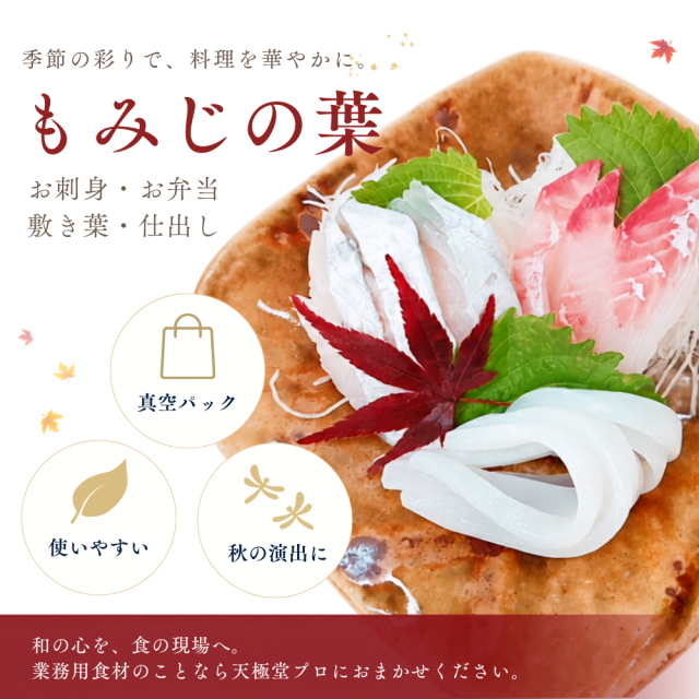 もみじの葉四角