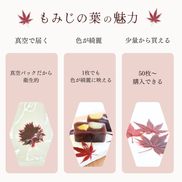 もみじアイコン２