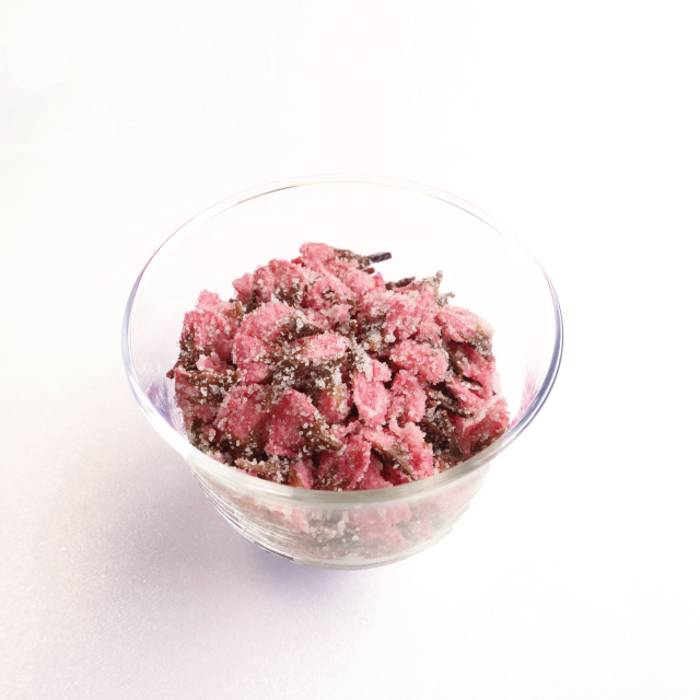 桜(一輪)　アイコン