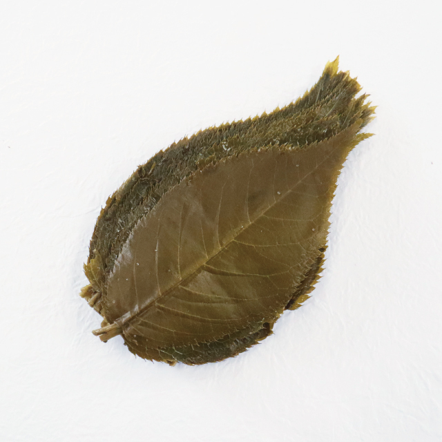 桜葉(茶)　アイコン