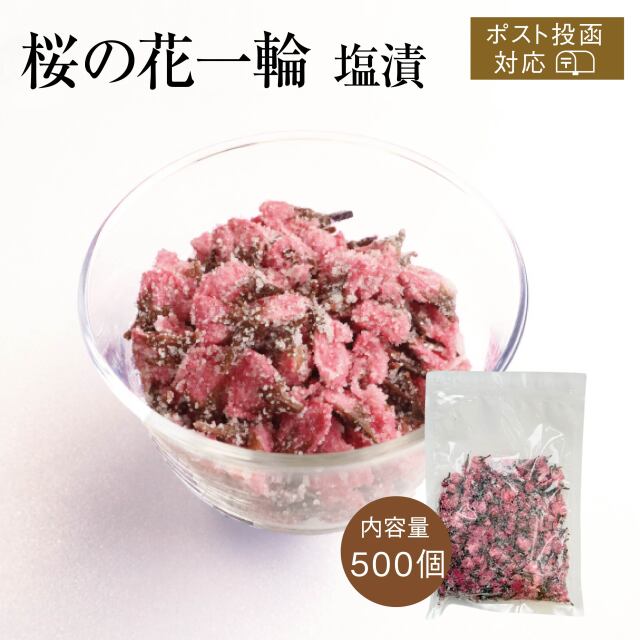 C桜の花一輪S500個アイコン