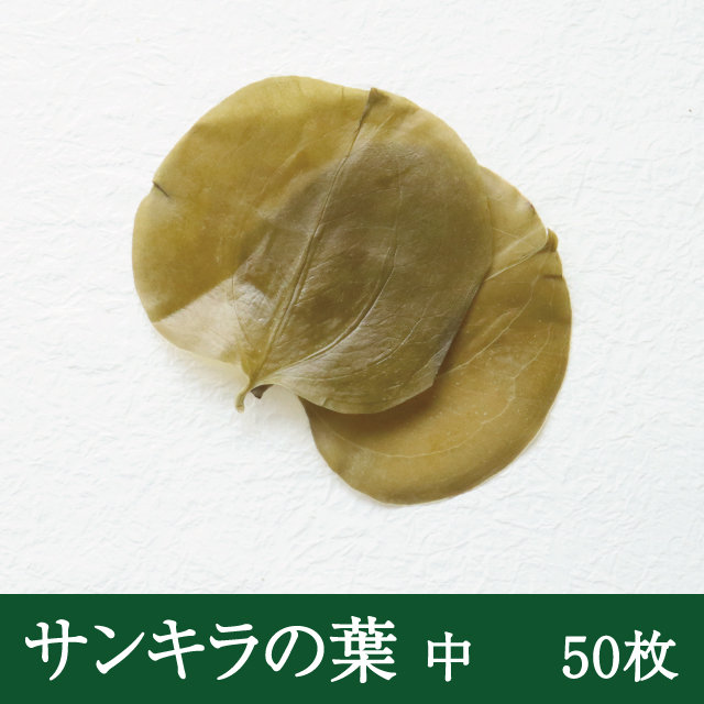 丁寧に選別された朴の葉