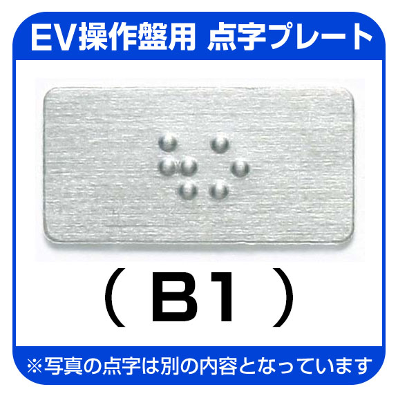 B1