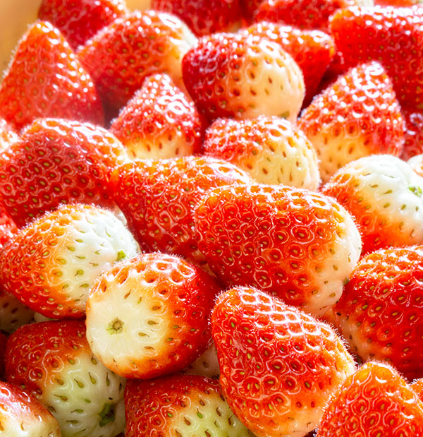 佐賀県産いちごさん